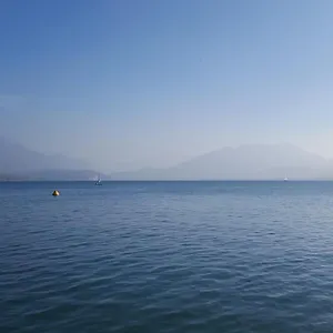 check availability